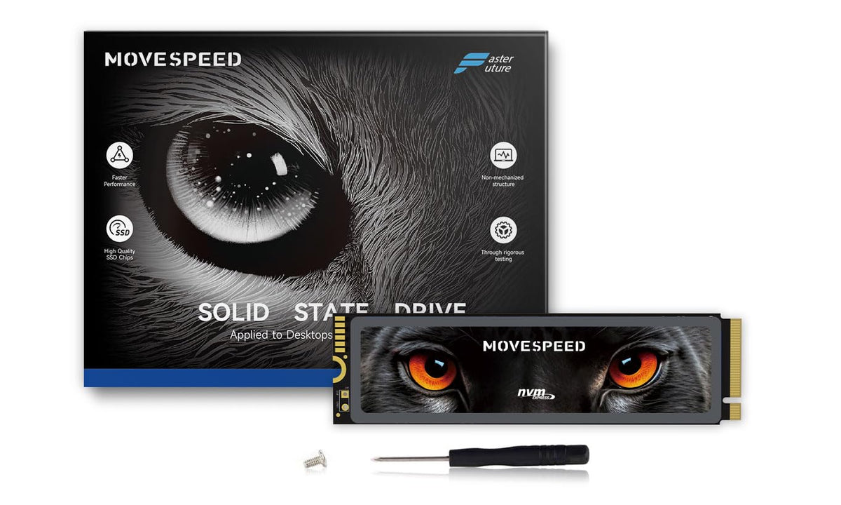 2TB PCIe 4.0 NVMe M.2 Internal SSD with Heatsink E81413
