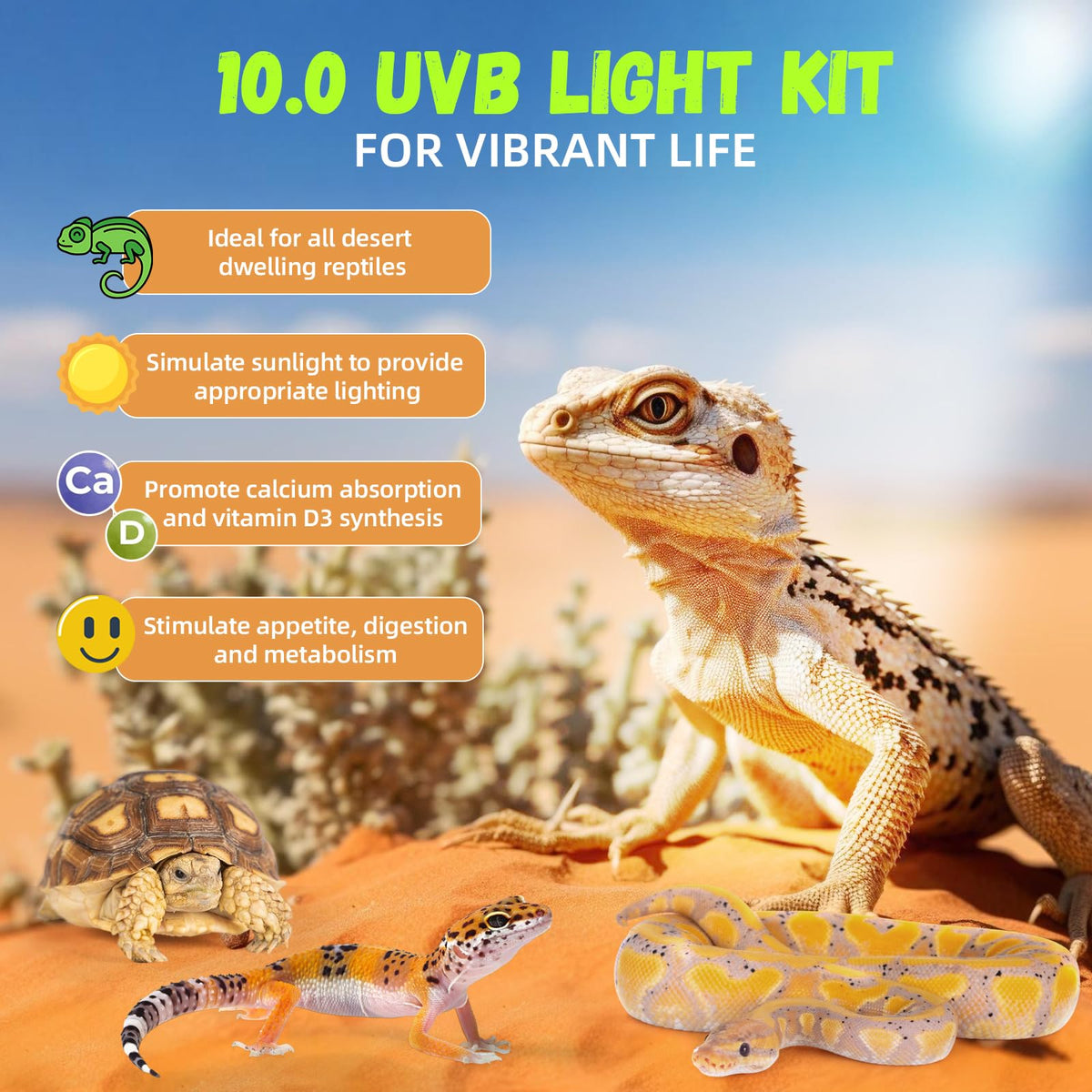 24W 10.0 T5 UVB Reptile Light Fixture Combo Kit 22inch Terrarium Hood P409900