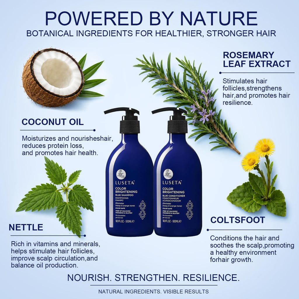 Blue Shampoo & Conditioner Set 2x16.9oz W824