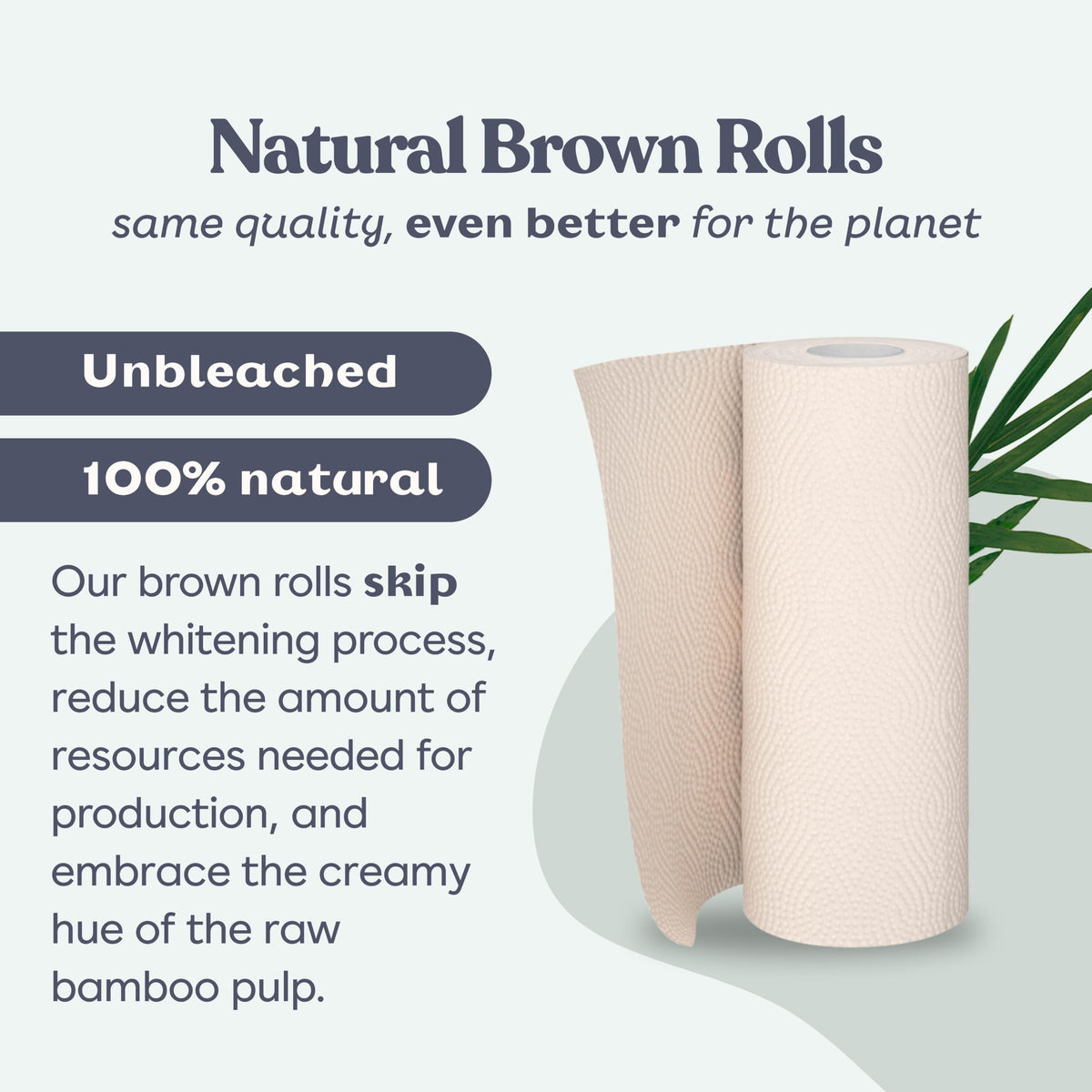 Bamboo Paper Towels 8 Rolls 2 Ply Z322899