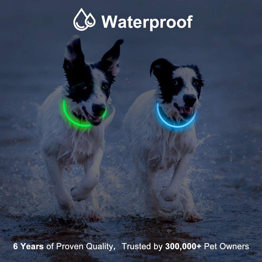 2-Pack Rechargeable LED Dog Collar S22481