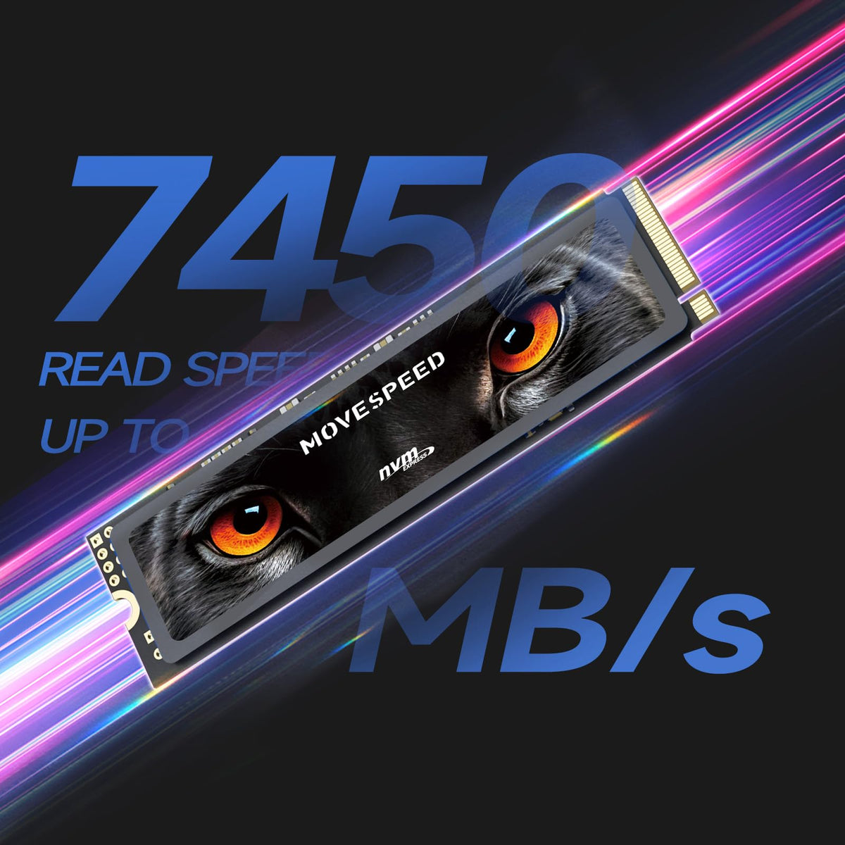 2TB PCIe 4.0 NVMe M.2 Internal SSD with Heatsink E81413