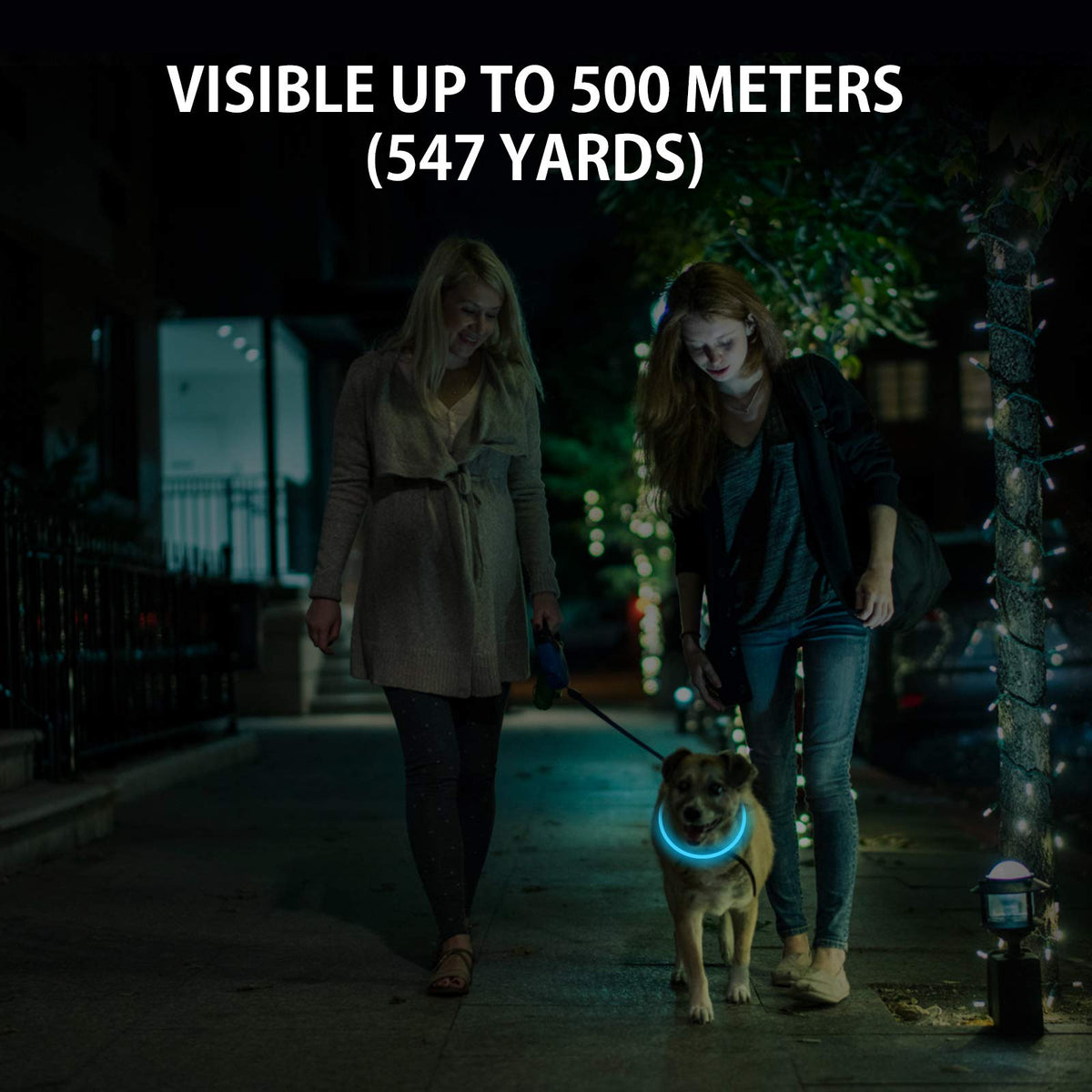 2-Pack Rechargeable LED Dog Collar S22481