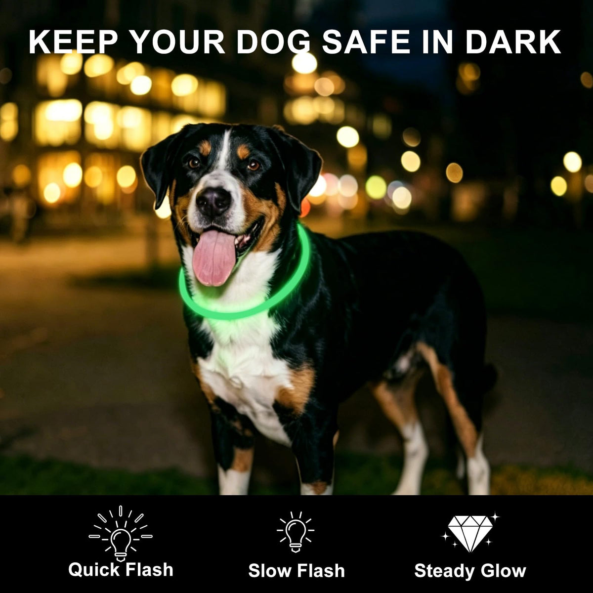 2-Pack Rechargeable LED Dog Collar S22481
