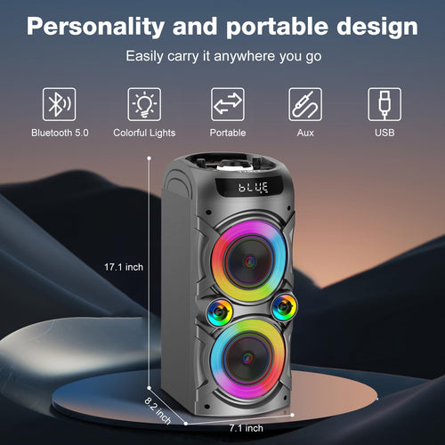 100W Portable Bluetooth Speaker B48806