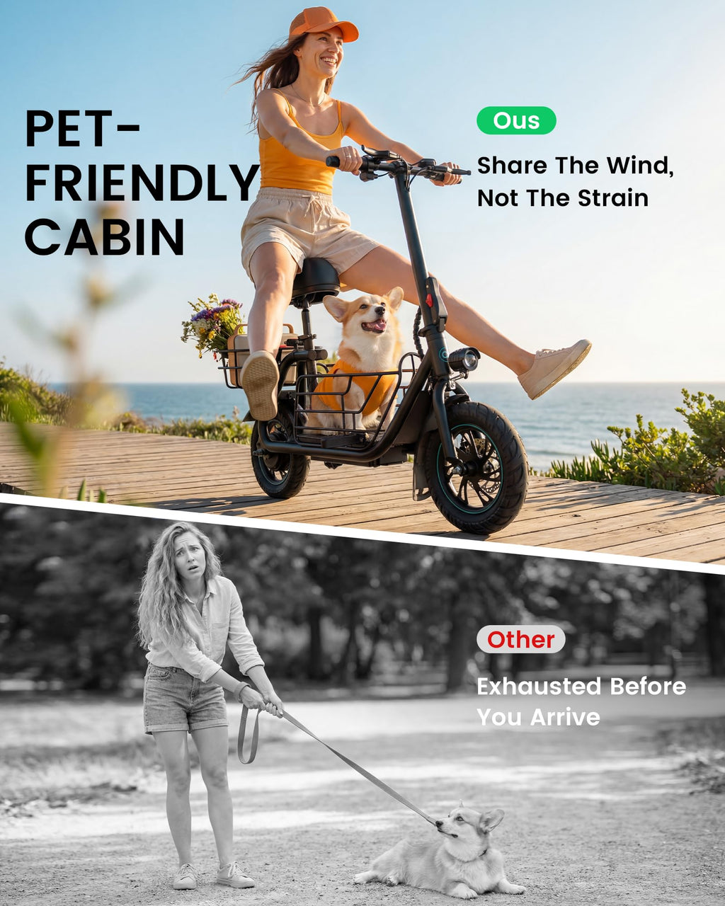 Electric Scooter with Seat B20208