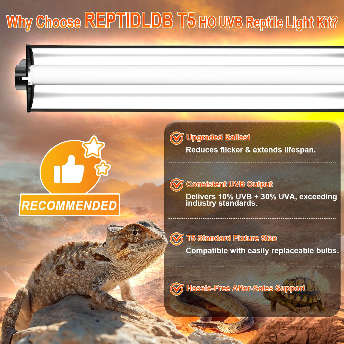 8W T5 10.0 UVB Reptile Light Fixture 12" M789