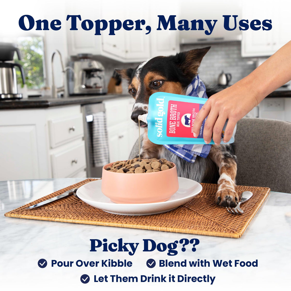 Solid Gold Beef Bone Broth for Dogs T310