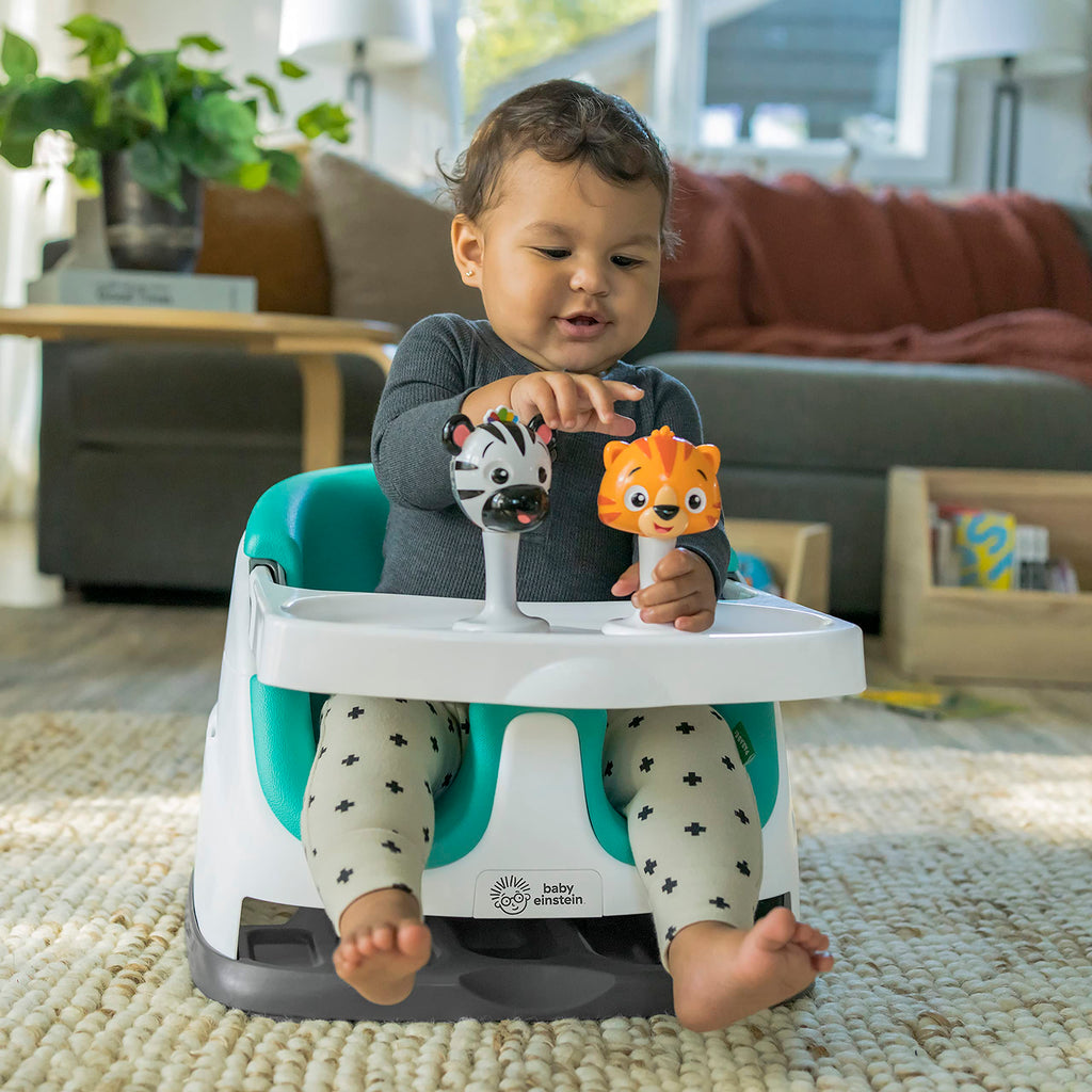 Booster Feeding & Floor Activity Seat with Self-Storing Tray R8787