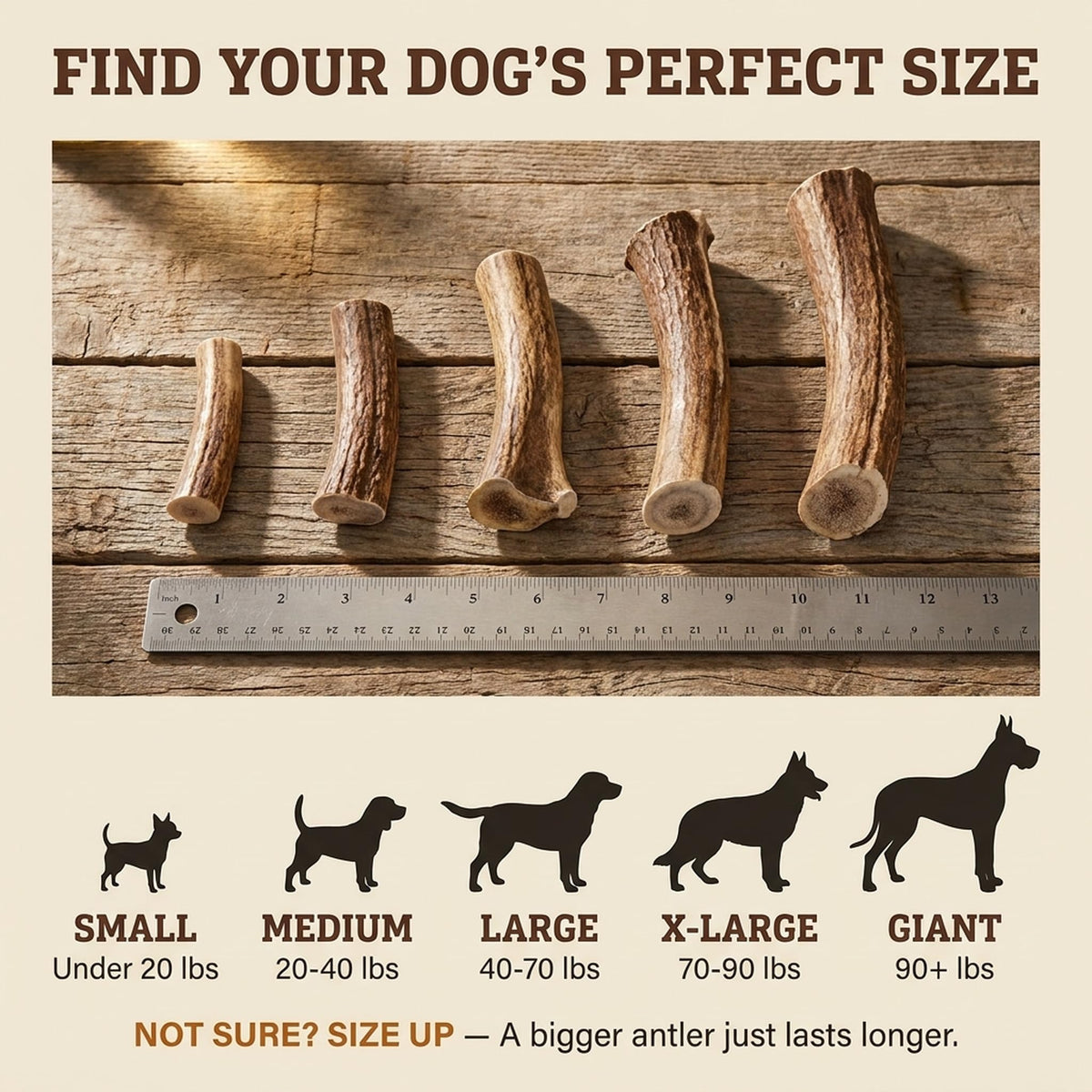 Deer Antler Dog Chew XL 8-10 in U3386