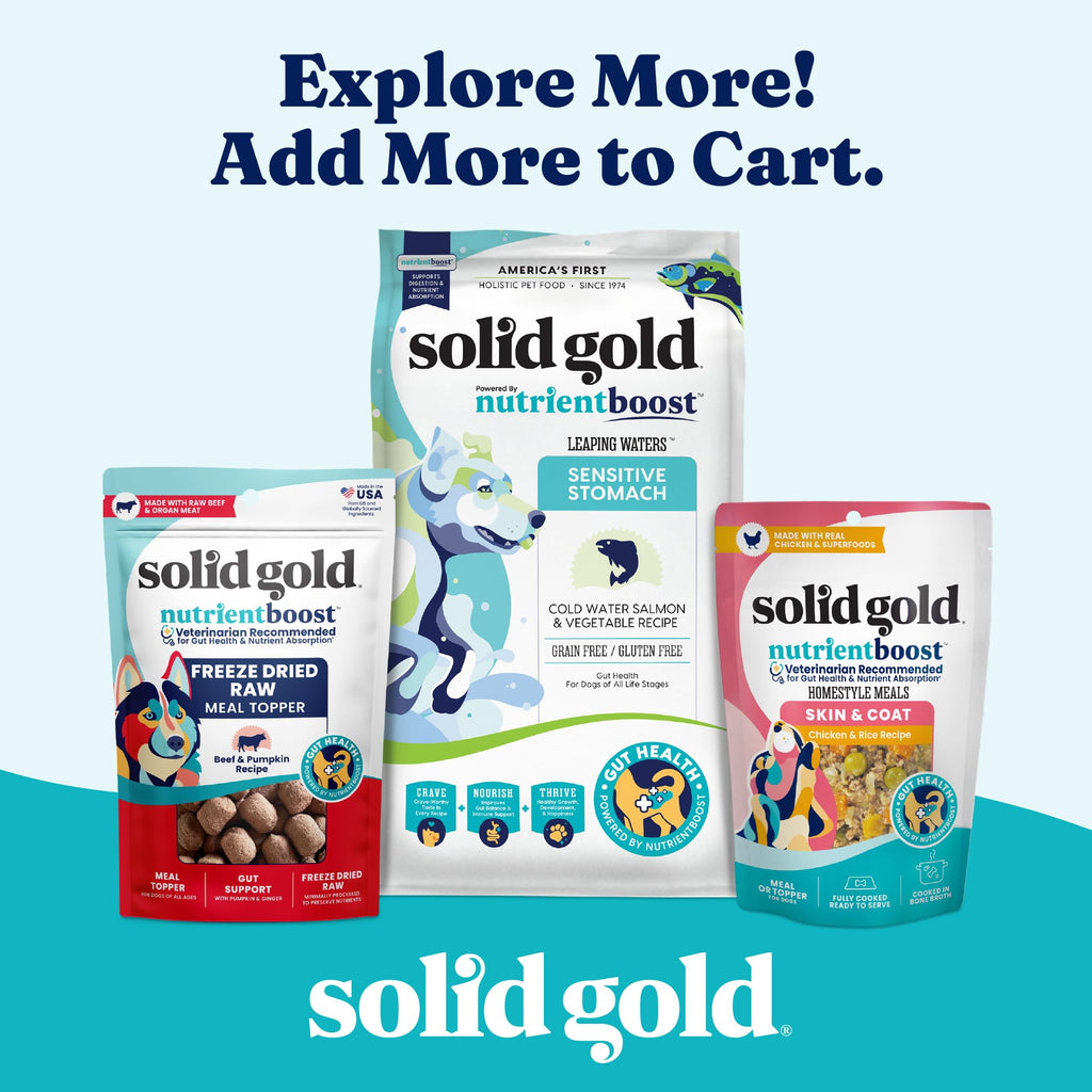 Solid Gold Beef Bone Broth for Dogs T310