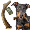 Deer Antler Dog Chew XL 8-10 in U3386